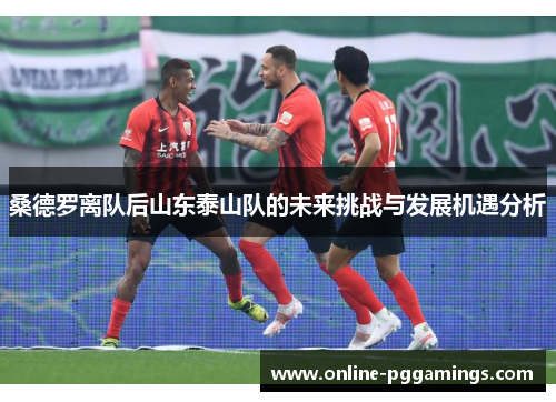 桑德罗离队后山东泰山队的未来挑战与发展机遇分析