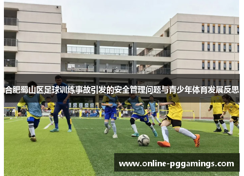 合肥蜀山区足球训练事故引发的安全管理问题与青少年体育发展反思