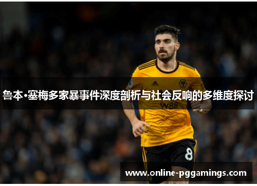 鲁本·塞梅多家暴事件深度剖析与社会反响的多维度探讨