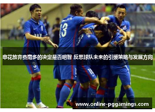 申花放弃费南多的决定是否明智 反思球队未来的引援策略与发展方向